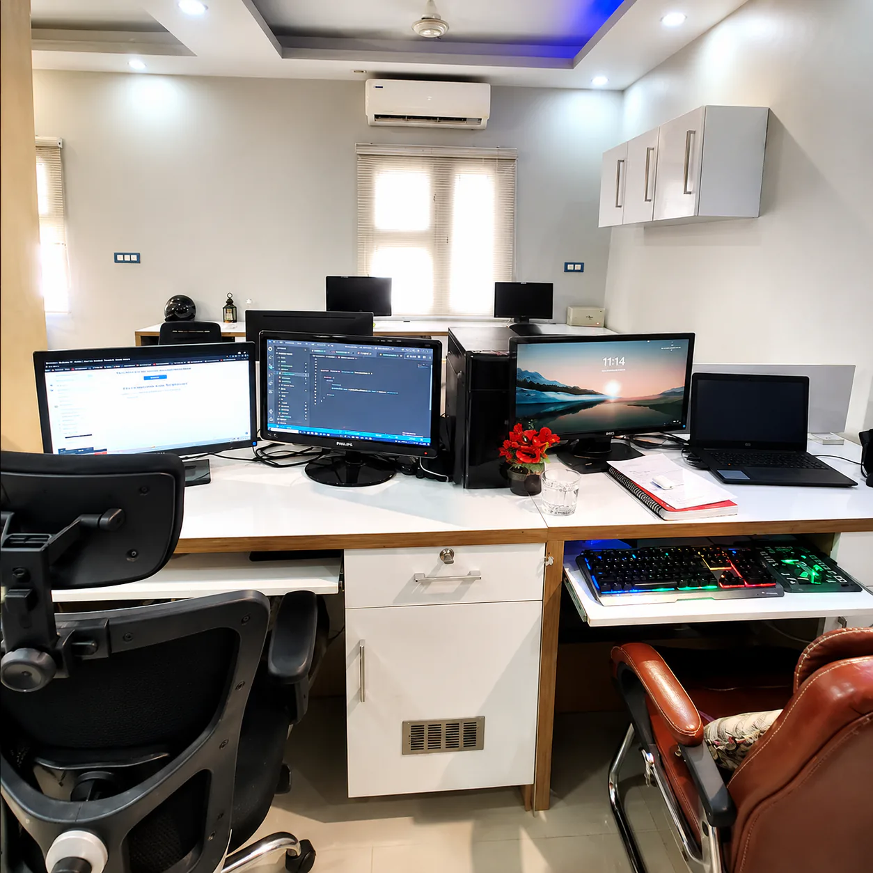 Evomorf office